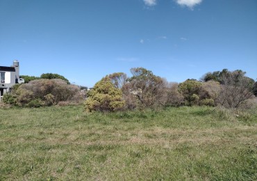 LOTE PLAYA LOS LOBOS